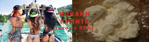 шишки Дмитровск