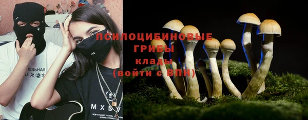 мяу мяу мука Дмитров