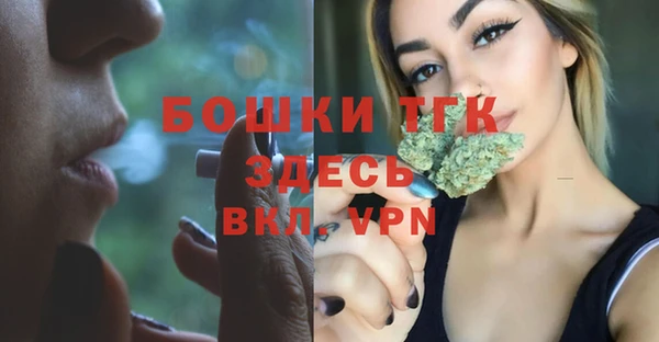 MESCALINE Гусь-Хрустальный