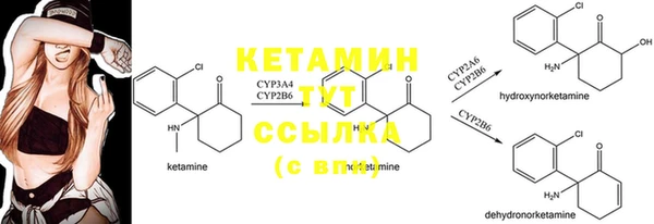 шишки Дмитровск