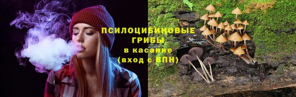 MESCALINE Гусь-Хрустальный