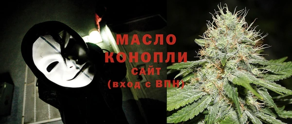 шишки Дмитровск